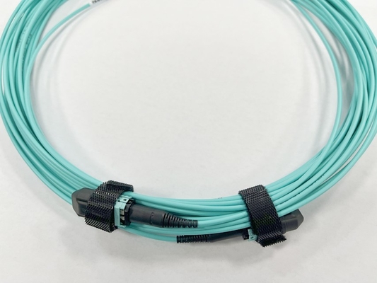8F OM4 2mm OD MPO(F)-MPO(F) type B OFNP low loss 13m