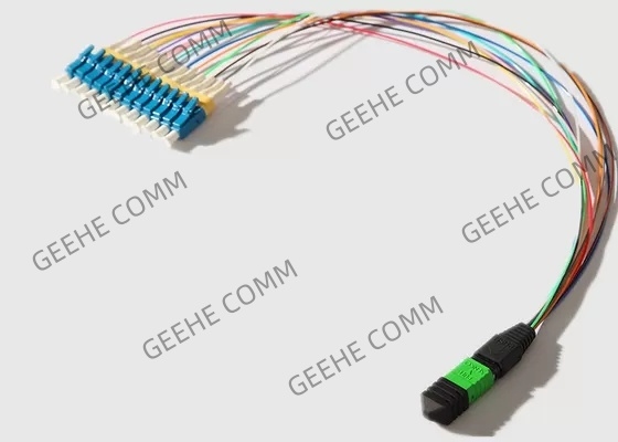 0.9mm Single Mode 12 Cores MPO To12 LC Optical Patch Cord