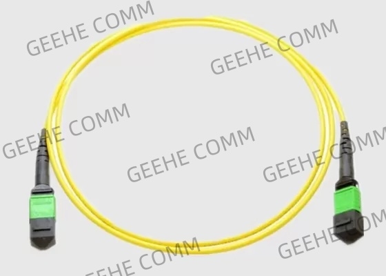 OM2 3.0MM Female To Female MTP MPO Fiber Cable