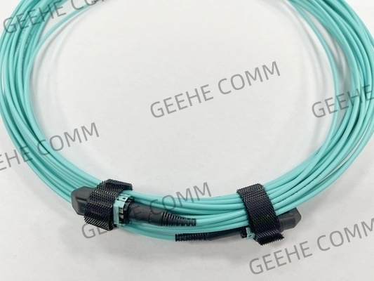 8F OM4 2mm OD MPO(F)-MPO(F) type B OFNP low loss 13m