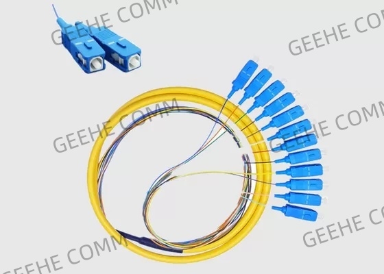 SC UPC 12 Cores G652D G657A1 Patch Cord Pigtail