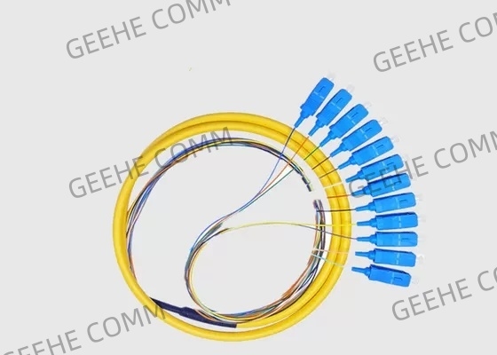 SC UPC 12 Cores G652D G657A1 Patch Cord Pigtail