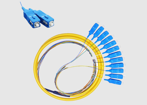 SC UPC 12 Cores G652D G657A1 Patch Cord Pigtail