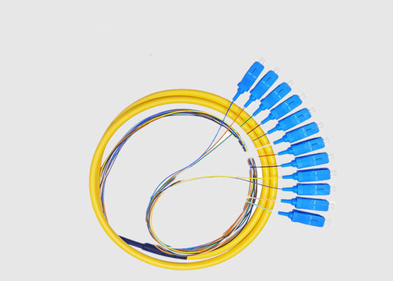 SC UPC 12 Cores G652D G657A1 Patch Cord Pigtail