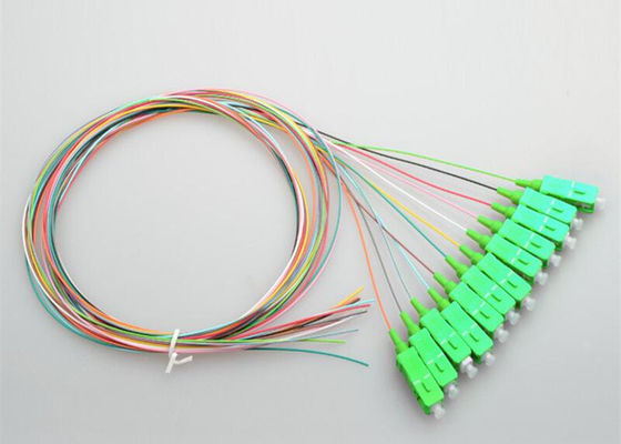 Single Mode 12 Cores LSZH 0.9mm SC UPC Pigtail