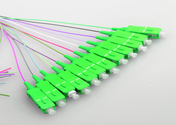 Single Mode 12 Cores LSZH 0.9mm SC UPC Pigtail