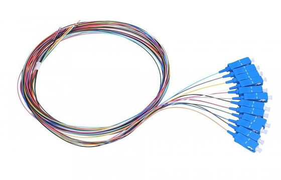 Outdoor Multi Core 12 Fiber 1m SC Fiber Optic Pigtails