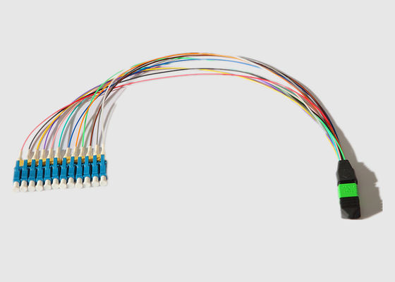0.9mm Single Mode 12 Cores MPO To12 LC Optical Patch Cord