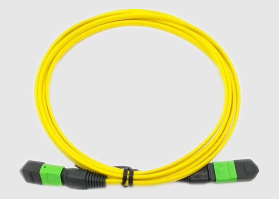 OM2 3.0MM Female To Female MTP MPO Fiber Cable