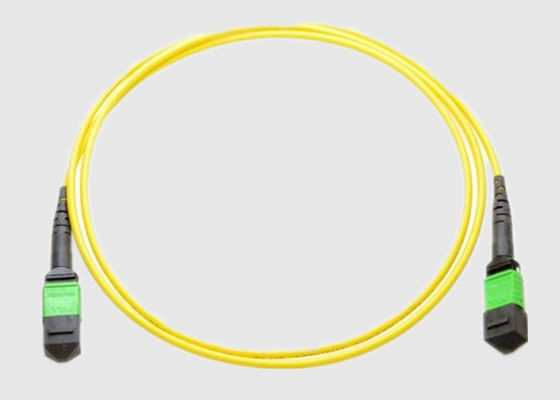 OM2 3.0MM Female To Female MTP MPO Fiber Cable